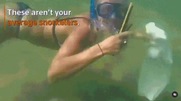 用头发可以清理石油爆上热搜!秃头网友狂喜:哈哈天生我材必有用