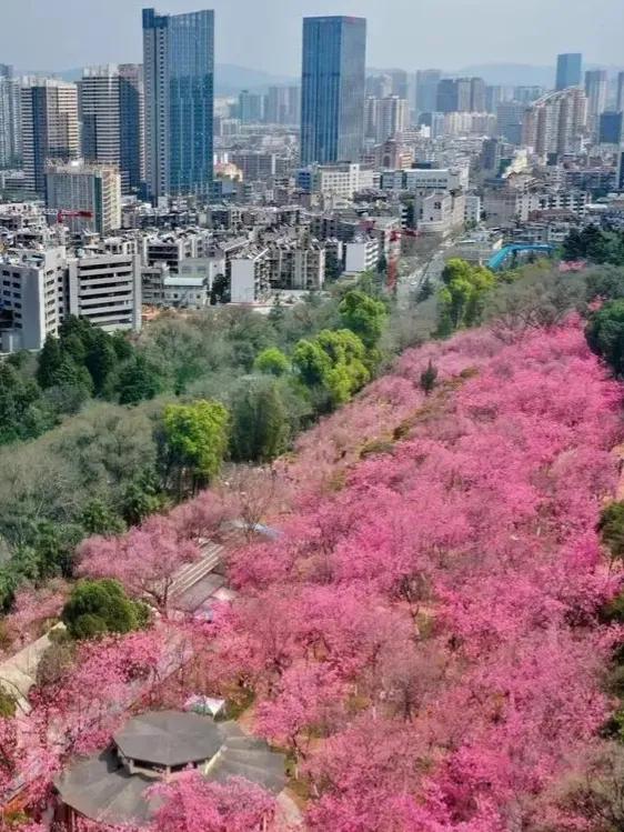 昆明可以爬的最大的山,云南必去的八大名山