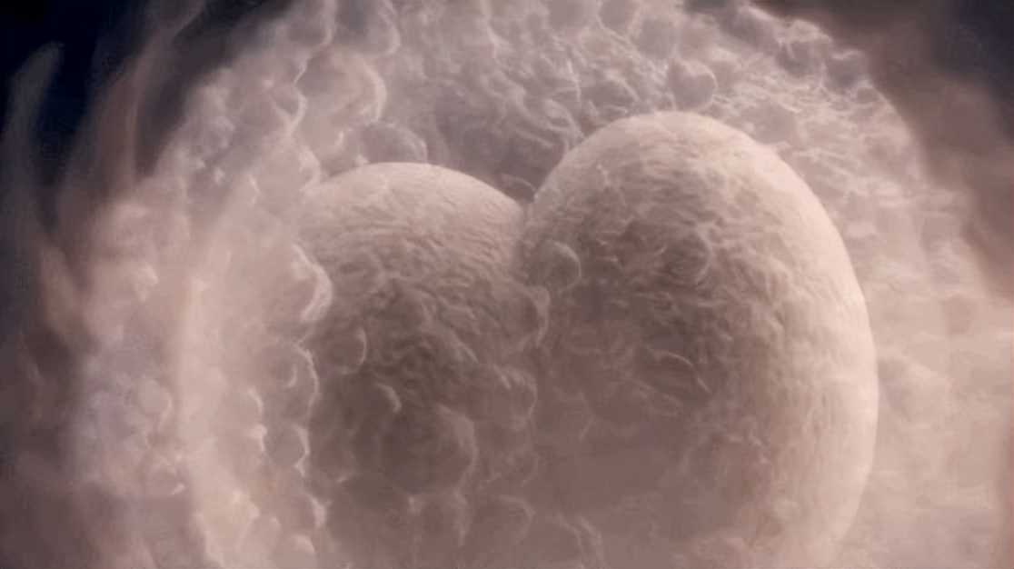 养囊后4bb囊胚移植成功率,到底移植鲜囊还是囊胚