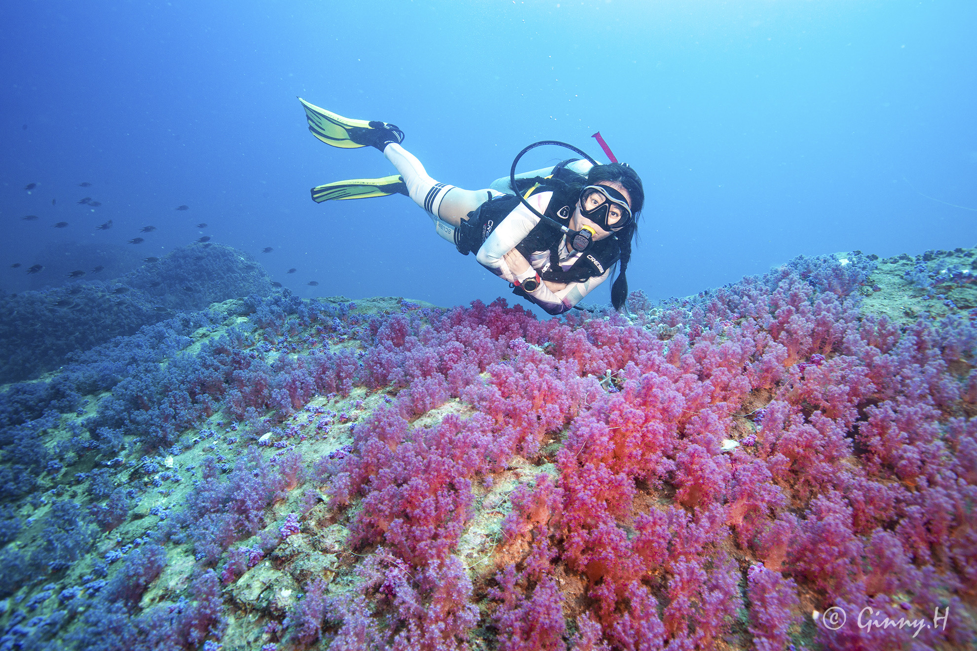 潜水的知识结构图,潜水必考知识