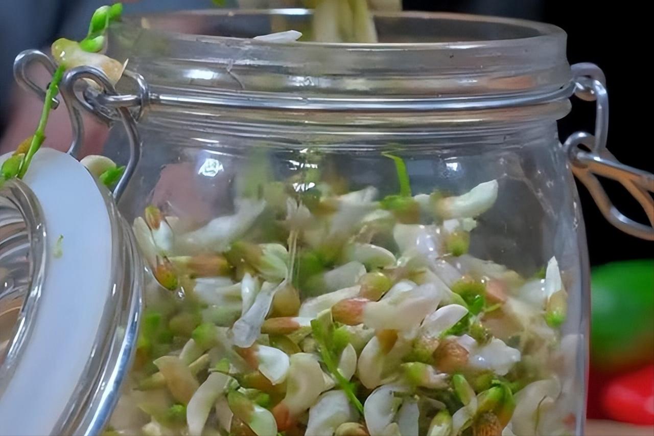 槐花怎么吃好吃又下饭,槐花一道绝佳的自然美食