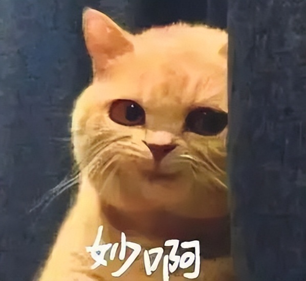 黄金微针能永久收毛孔吗,黄金微针是不是越肿效果越好