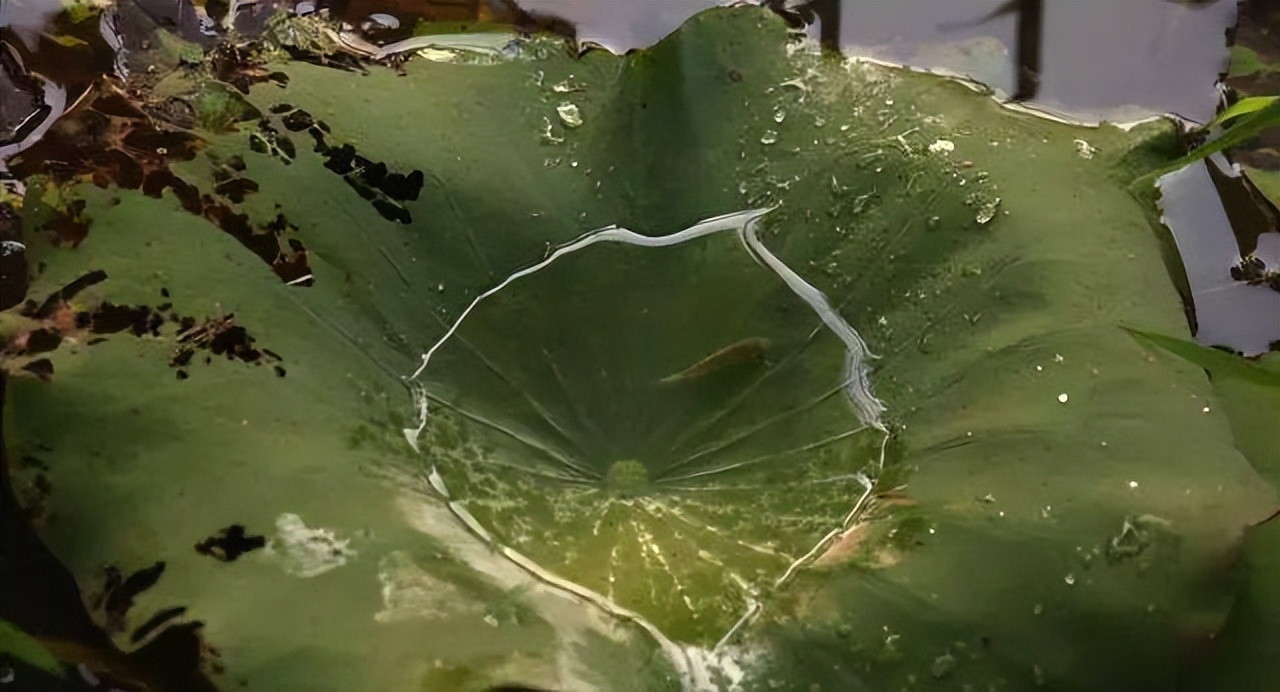 “荡妇”余秀华的风流人生,和她不为人知的反抗之路