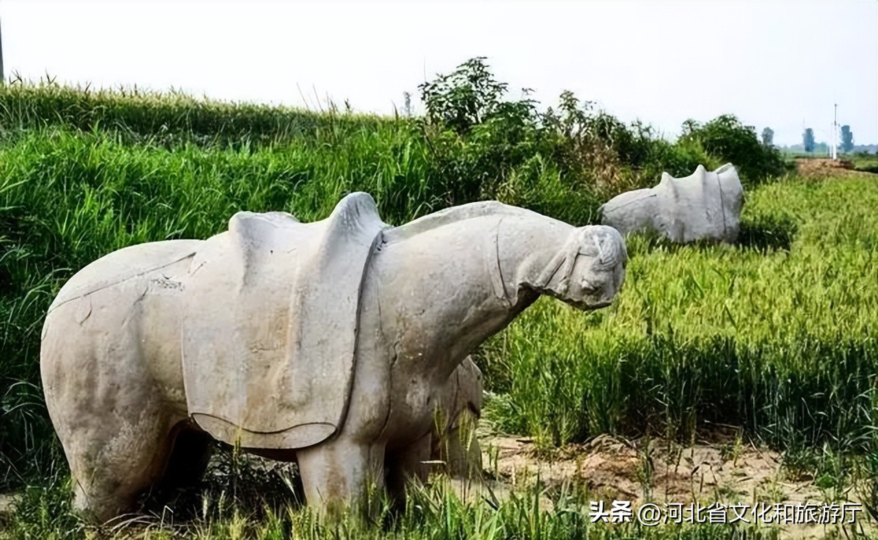 揭开历史的迷雾细细的窥探一下吧,揭开历史