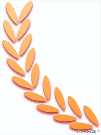 过黄陂一中线296人，普高率62%！盘龙城三所初中中考喜报