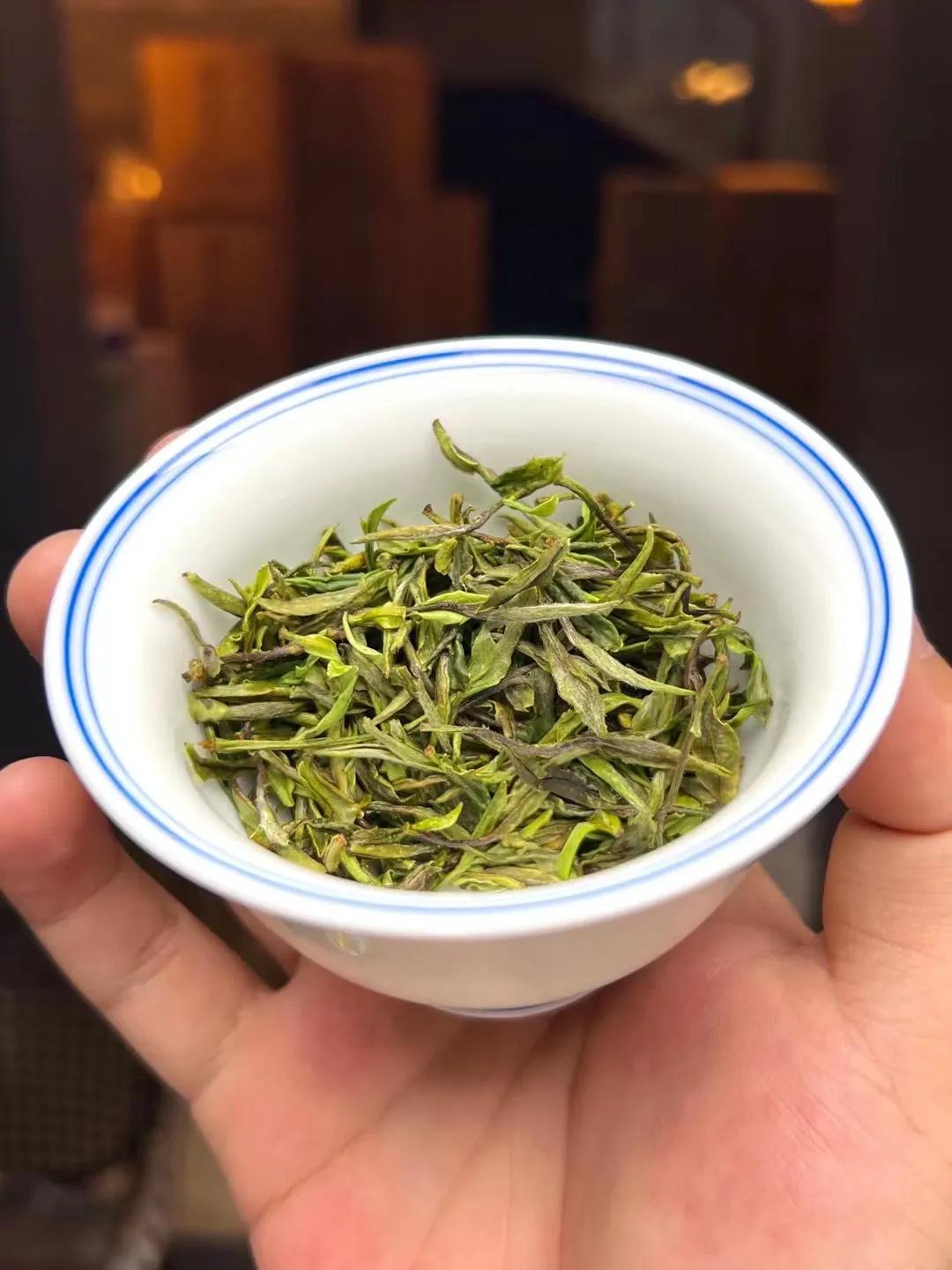 白茶初入门的新手如何能买到好茶,白茶新手入门必买