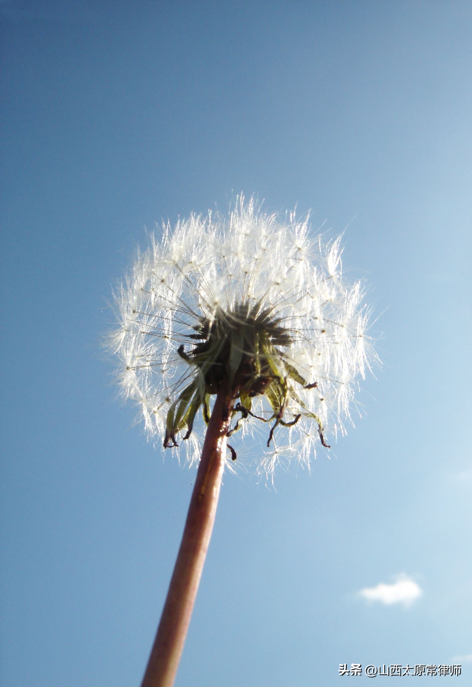 生活中有什么侵权行为,最近发生的侵权案例