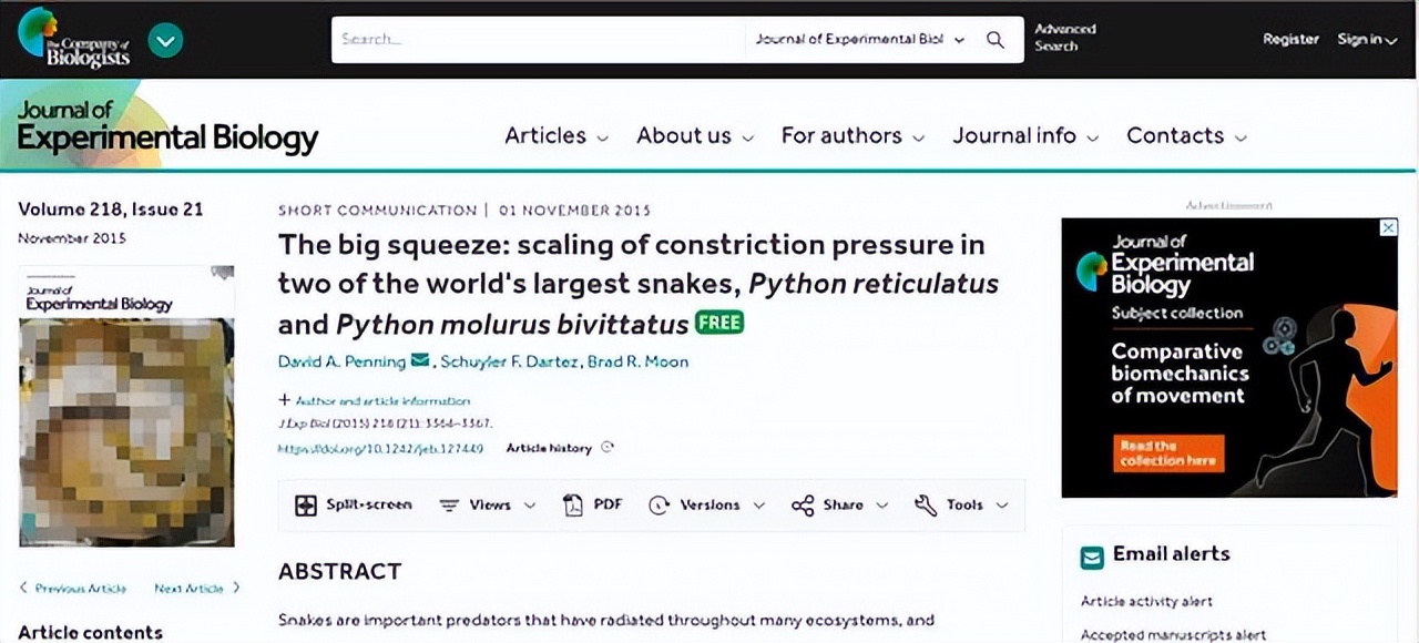7米长！印尼54岁女子被巨蟒活吞，人心惶惶：还剩条8.2米蟒蛇游荡