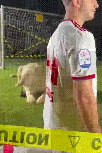 球迷三次冲进场内追星梅西,一场比赛三个人跑进47秒