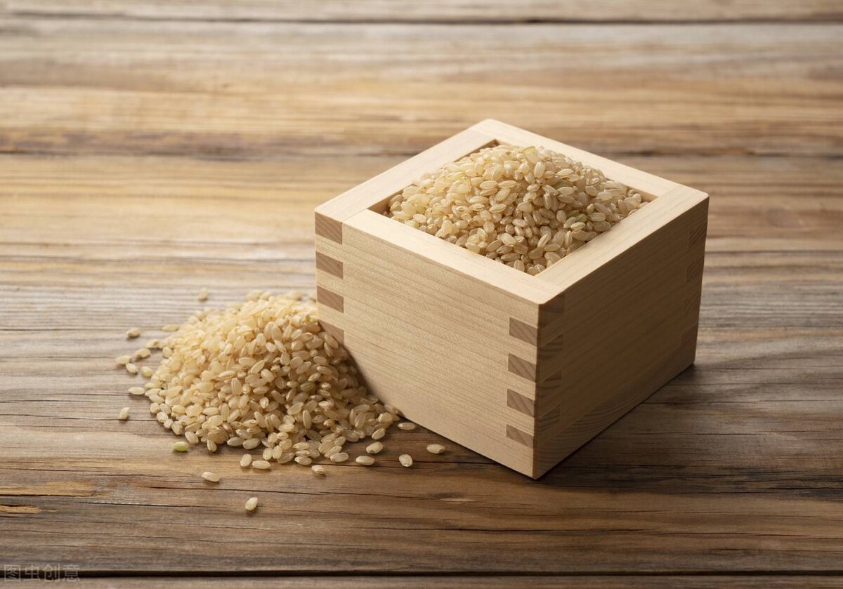 什么食物调理肠胃和消化系统,哪些食物调理肠胃最好