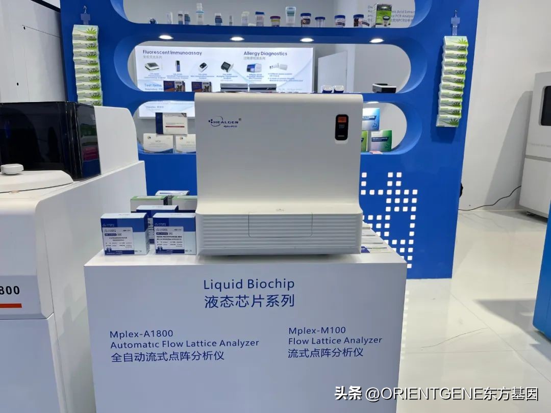 直击上海交易会展厅,直击上海车展