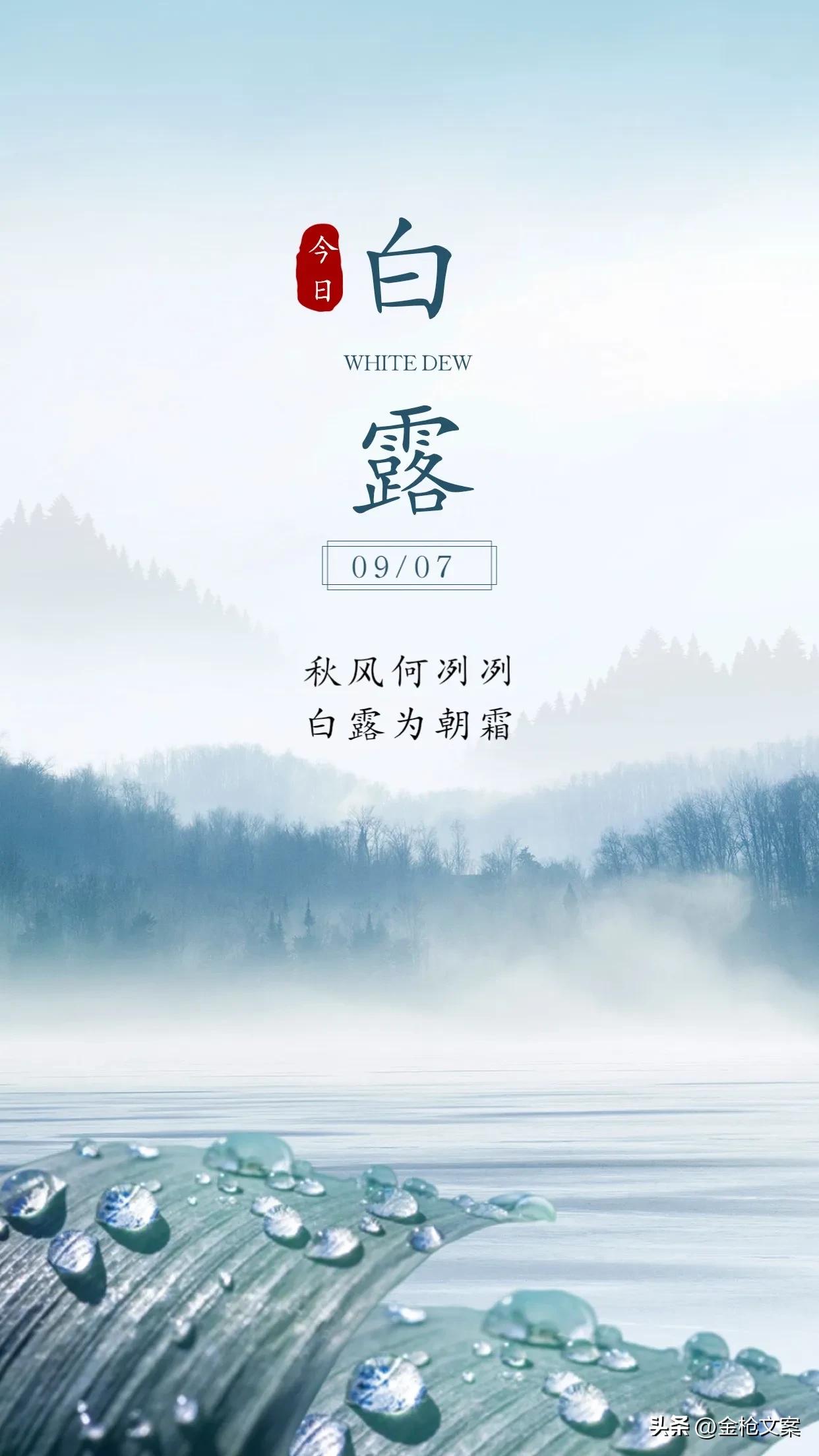 蒹葭苍苍白露为霜是否形容节气,蒹葭苍苍白露为霜最有诗意的节气