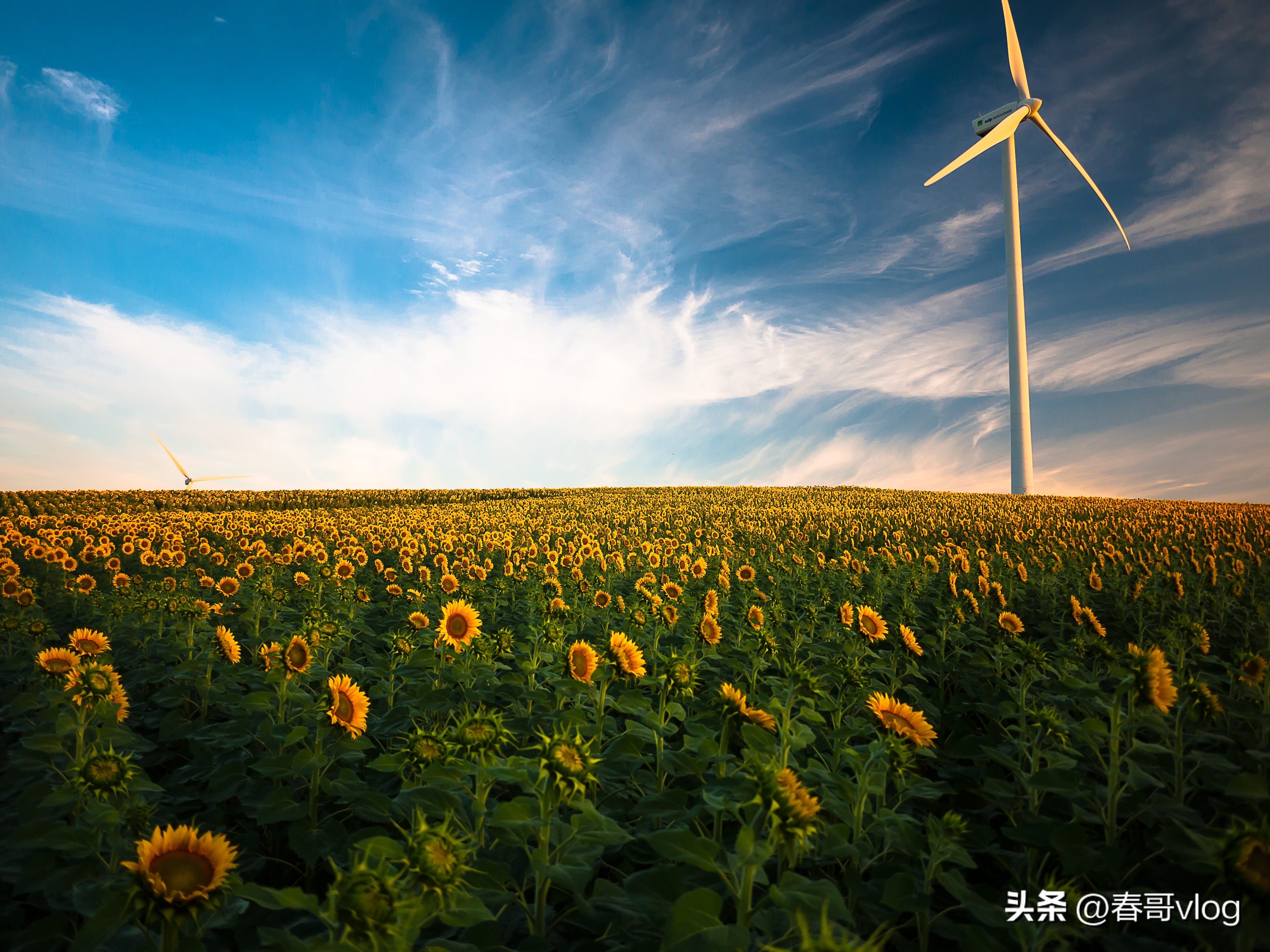 西藏风景高清手机壁纸无水印,4k超清壁纸无水印全面屏风景
