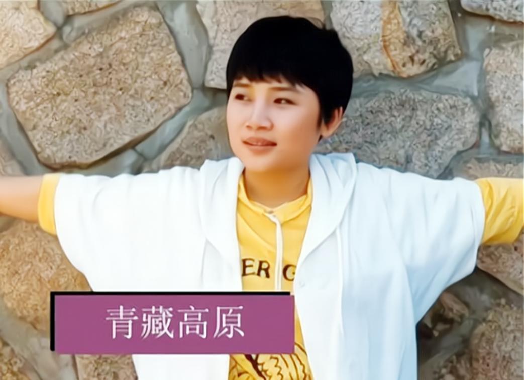 李娜歌手为什么出家,歌手李娜为何在巅峰时期出家