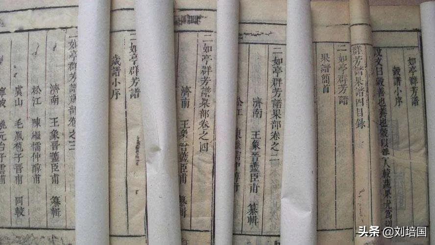 中国植物学的三大奠基人,中国植物学发展历程