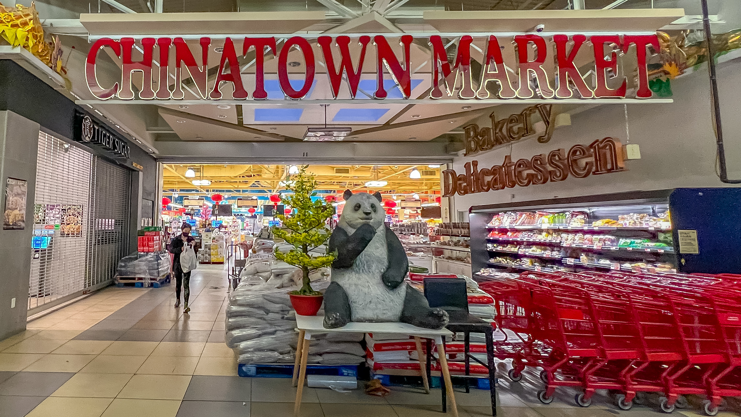 美国大学入学率最高的城市，犹他州盐湖城，旅游攻略