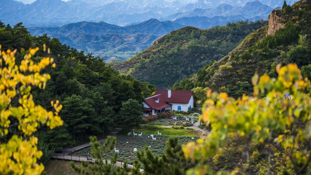 北京市密云区云峰山森林康养基地,北京密云康养基地