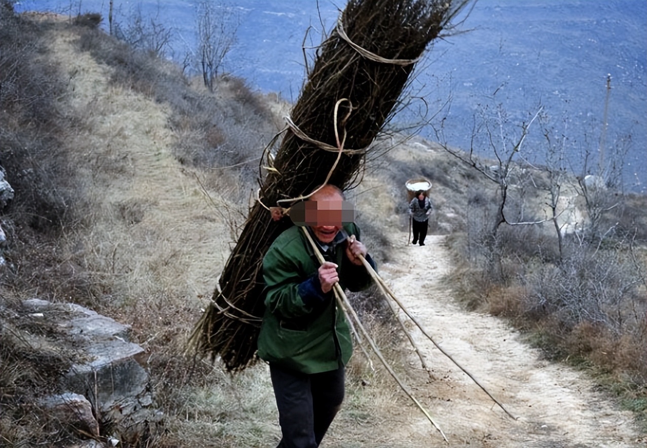 真实事件！12年前湖北男子11天捐精5次后猝死，父亲悲痛索赔400万