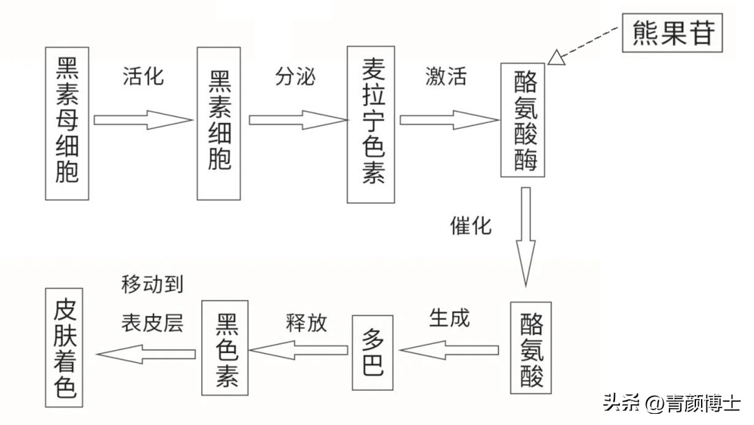 含熊果苷的大牌美白产品,熊果苷美白产品推荐