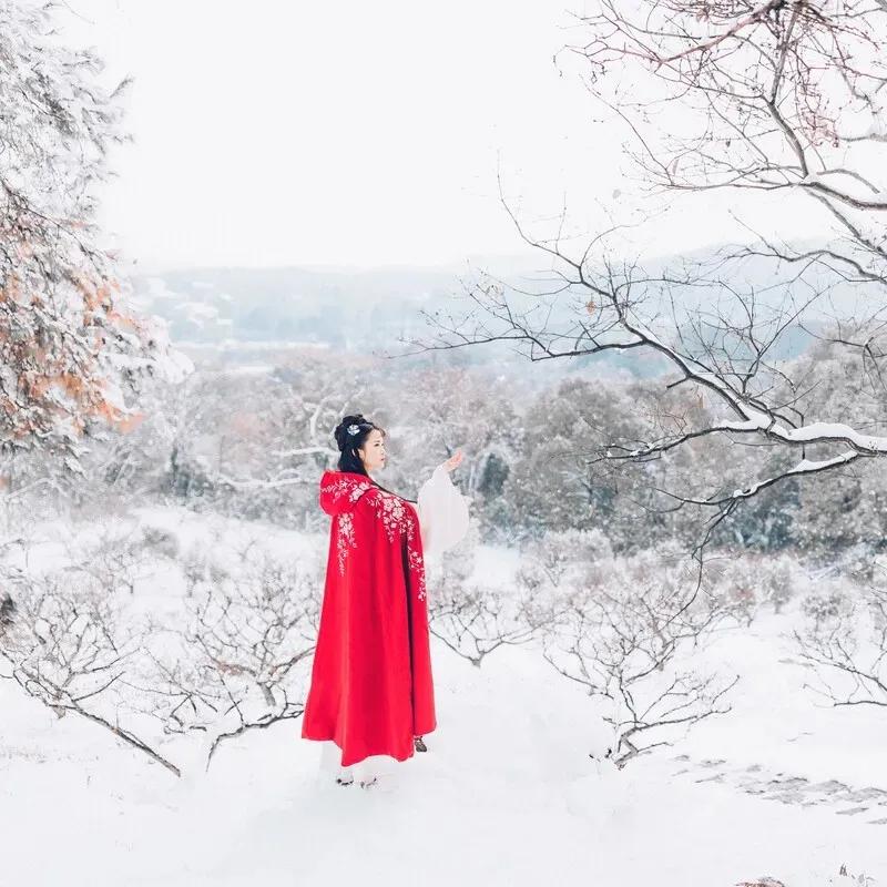大年初三回娘家诗词,春节在娘家过节的诗句