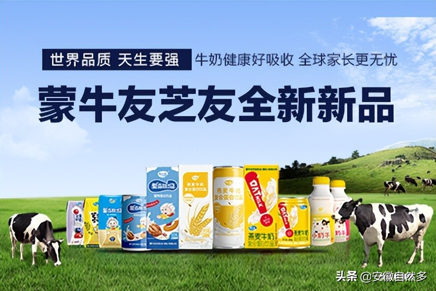 蒙牛和蒙牛友芝友是一家公司吗,蒙牛友芝友和蒙牛什么关系