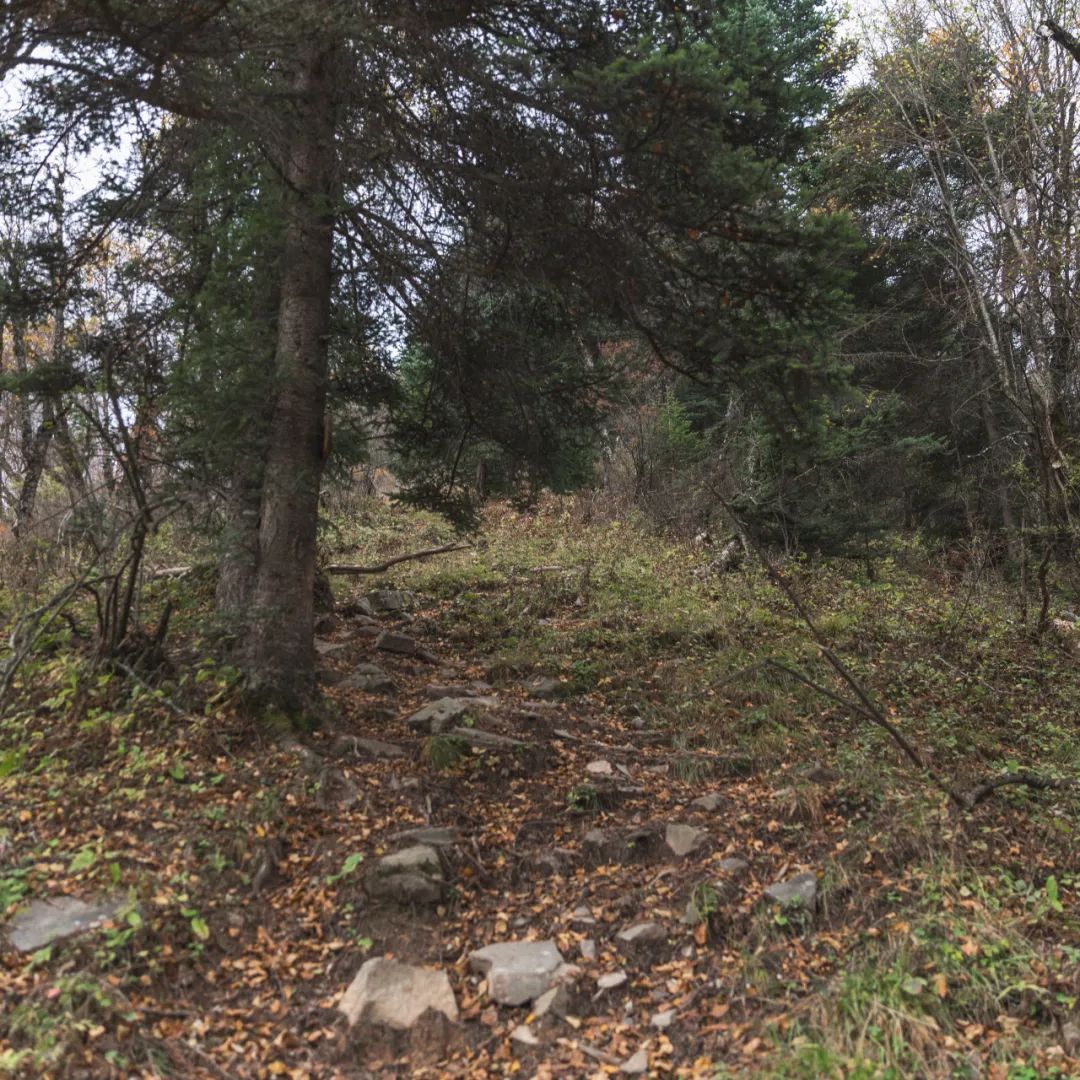 太白山是陕西最高点吗,秦岭最高峰太白山