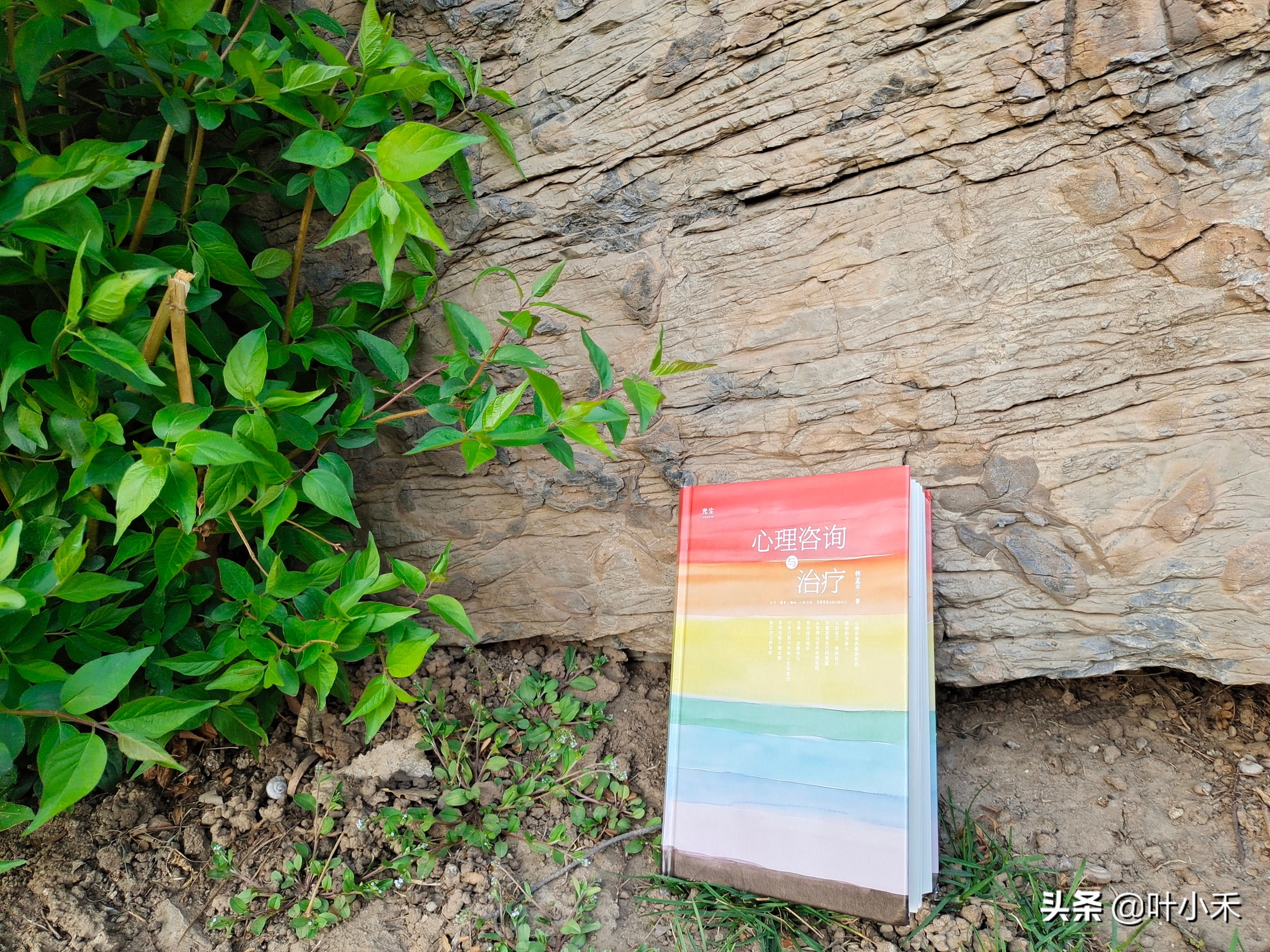 什么是心理咨询和心理学,心理咨询是怎样解决心理问题的