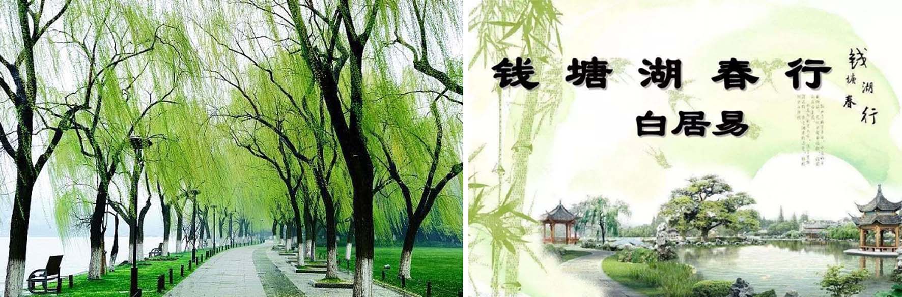 唐代诗人高适的官职是,唐代诗人官职品级一览表