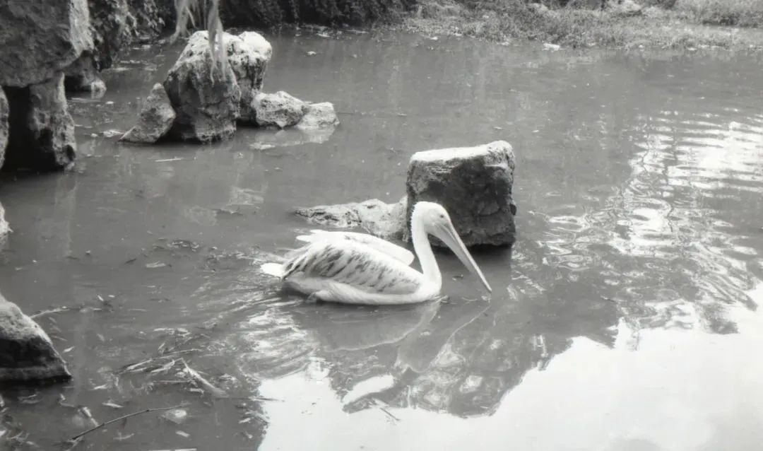 宁波一座令我难忘的城市,怀念宁波的那段日子