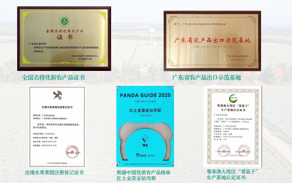 遇上凤梨，了解一个外表粗糙、内心甜美的“热带水果姑娘”！