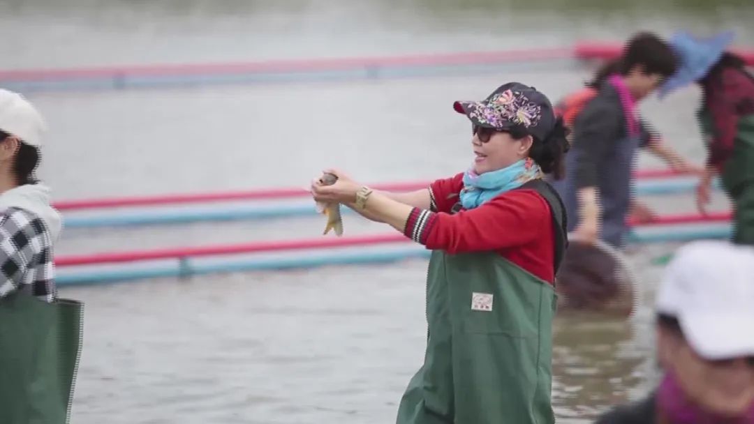 这么近那么美周末游河北倒计时,这么近那么美周末到河北去哪玩