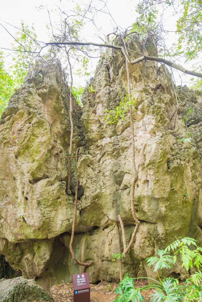 自驾游贵州黄果树旅游攻略,安顺黄果树景区旅游攻略路线推荐