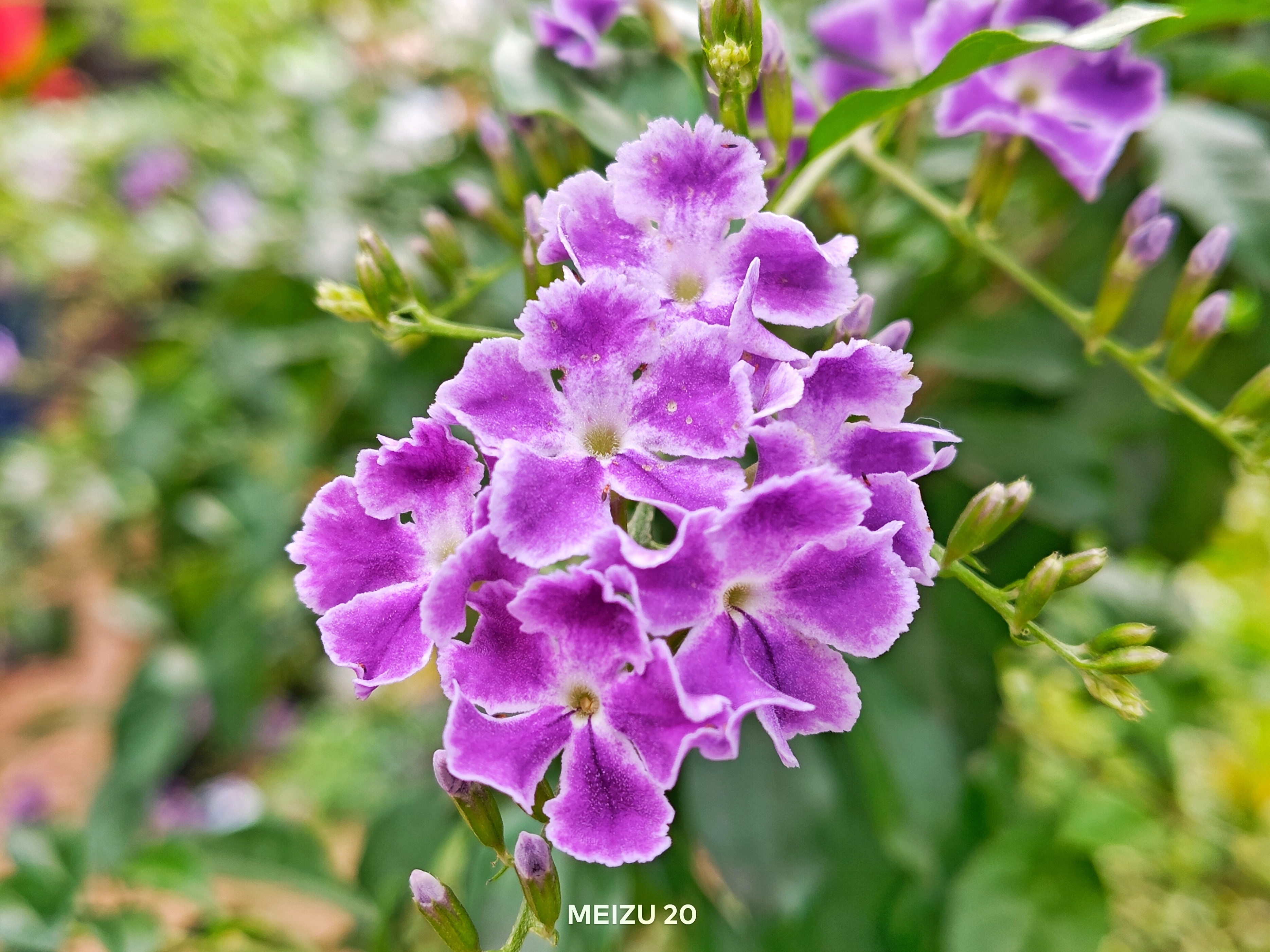 聊聊你的魅族20系列使用感受,魅族20使用后总结4个优点3个缺点