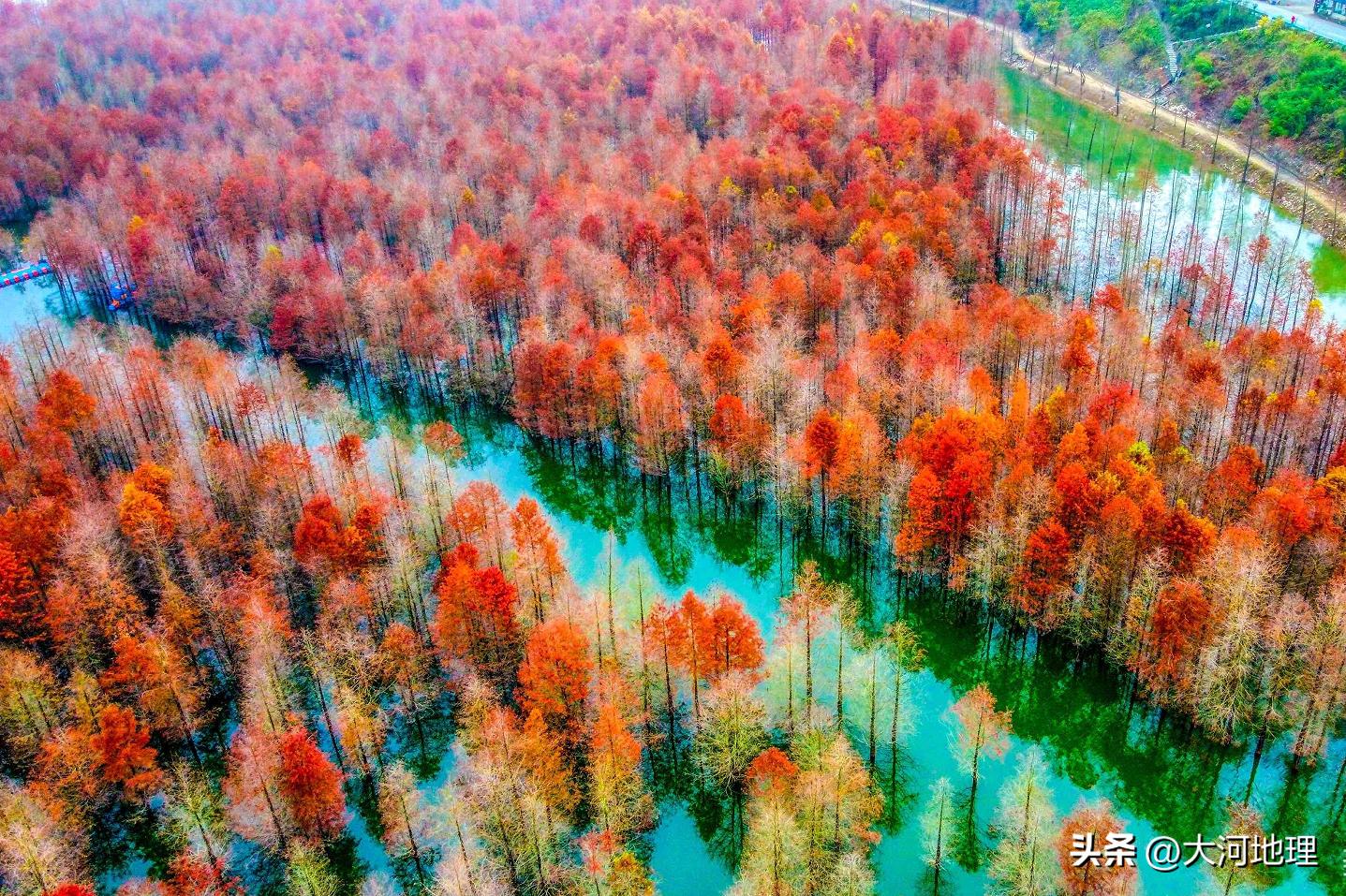 旅游攻略国内十大必去景点南方,中国南方著名景点