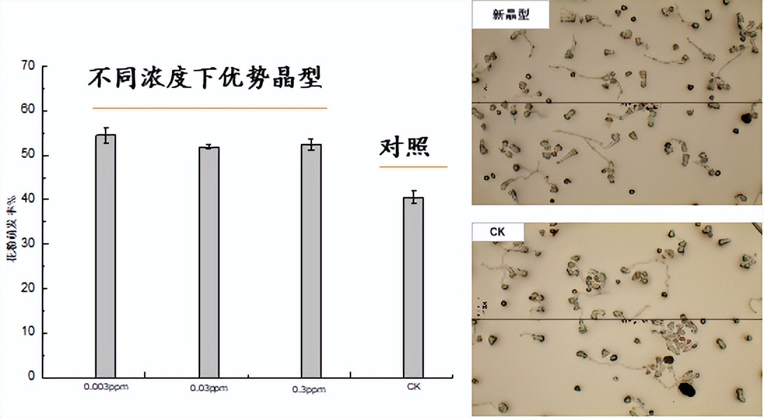 最新植物生长调节剂,植物内源生长调节剂芸苔素效果