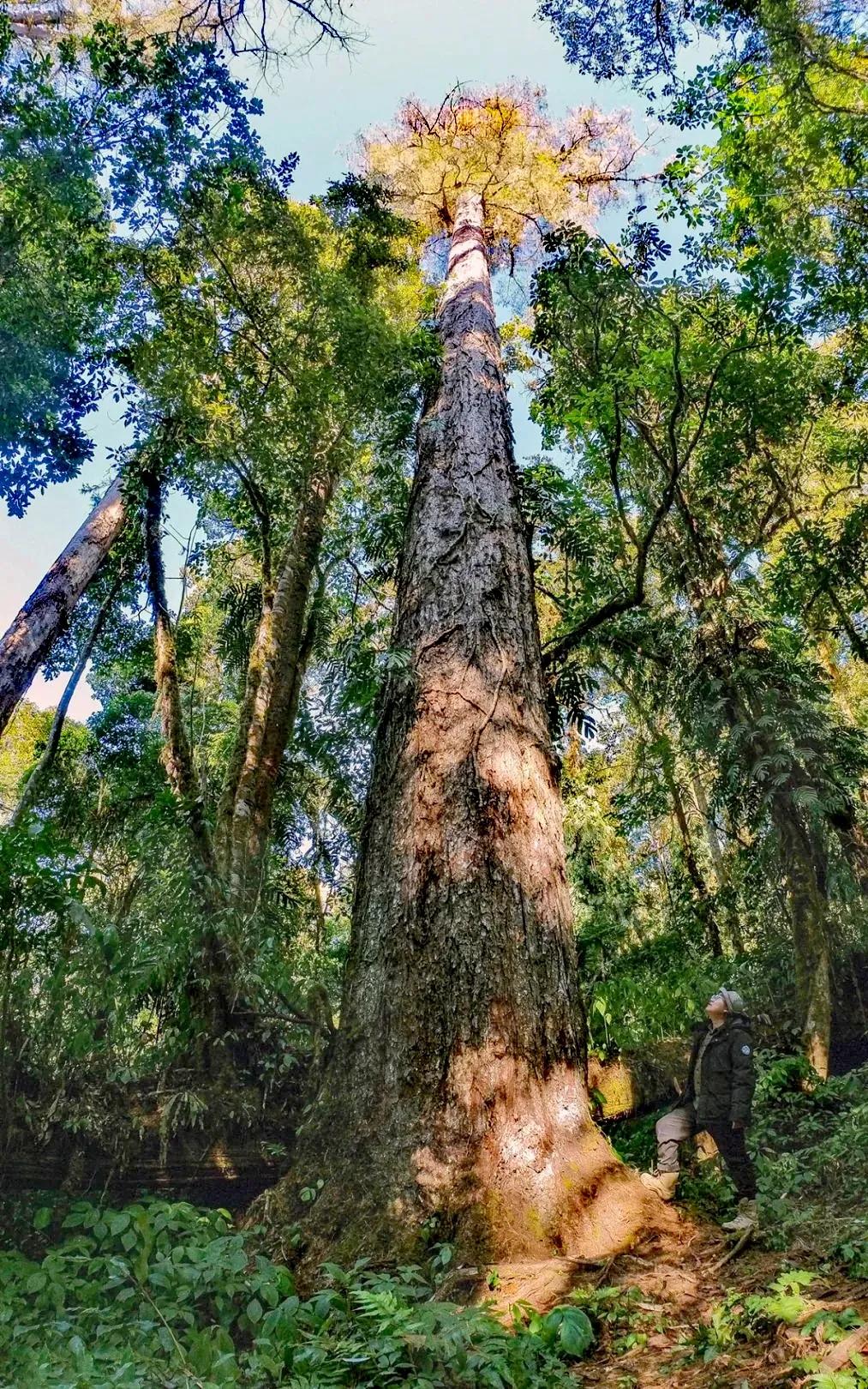 致敬墨脱的军人,不舍西藏墨脱退伍老兵泪别边关