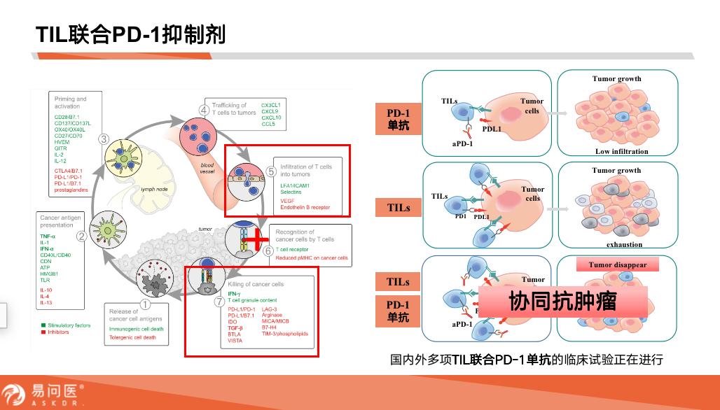 黑色素瘤知名专家列表,治疗晚期黑色素瘤的老中医