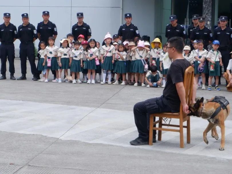 小萌娃应邀进警营警彩体验零距离,警彩少年平安校园