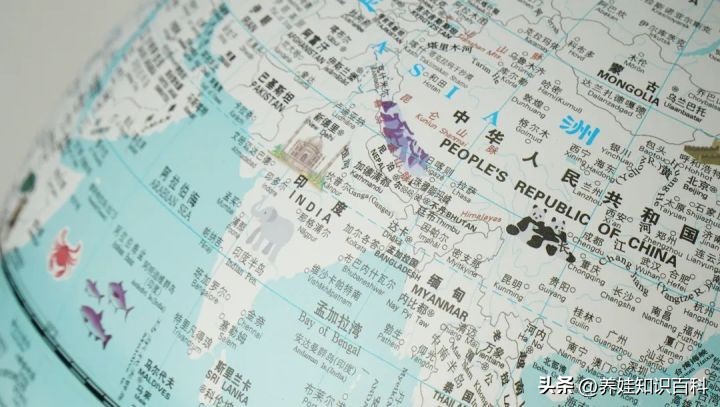 一年级孩子不爱阅读,一年级孩子不爱自主阅读