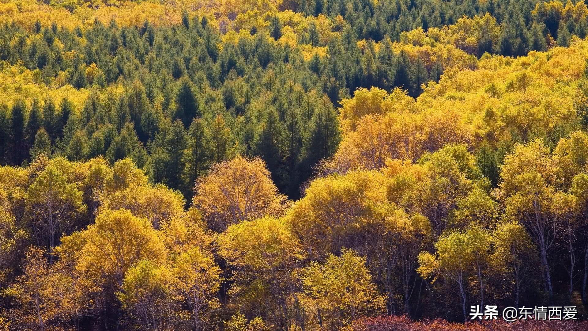 舍不得失去的伤感句子,伤感舍不得的句子