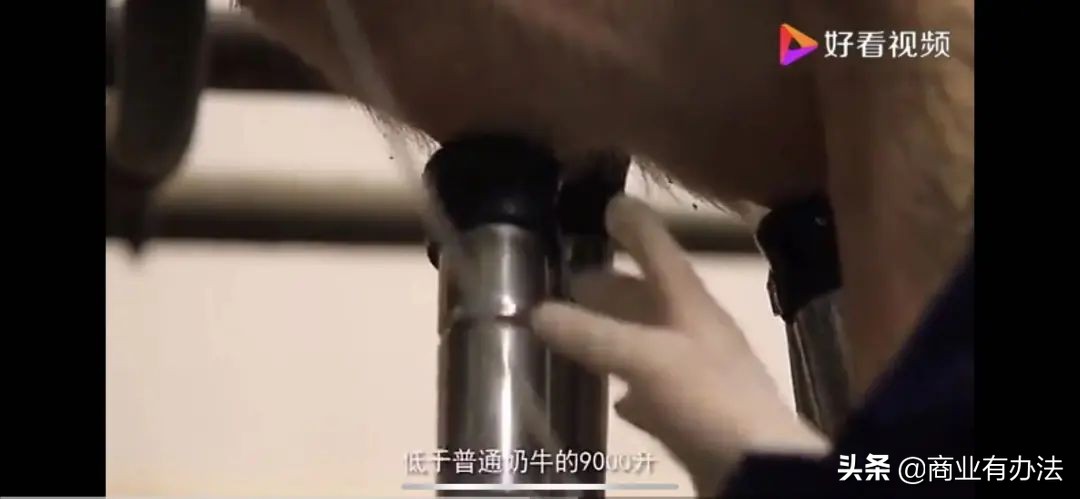 娟姗牛奶进价是多少钱,娟姗牛奶价格表