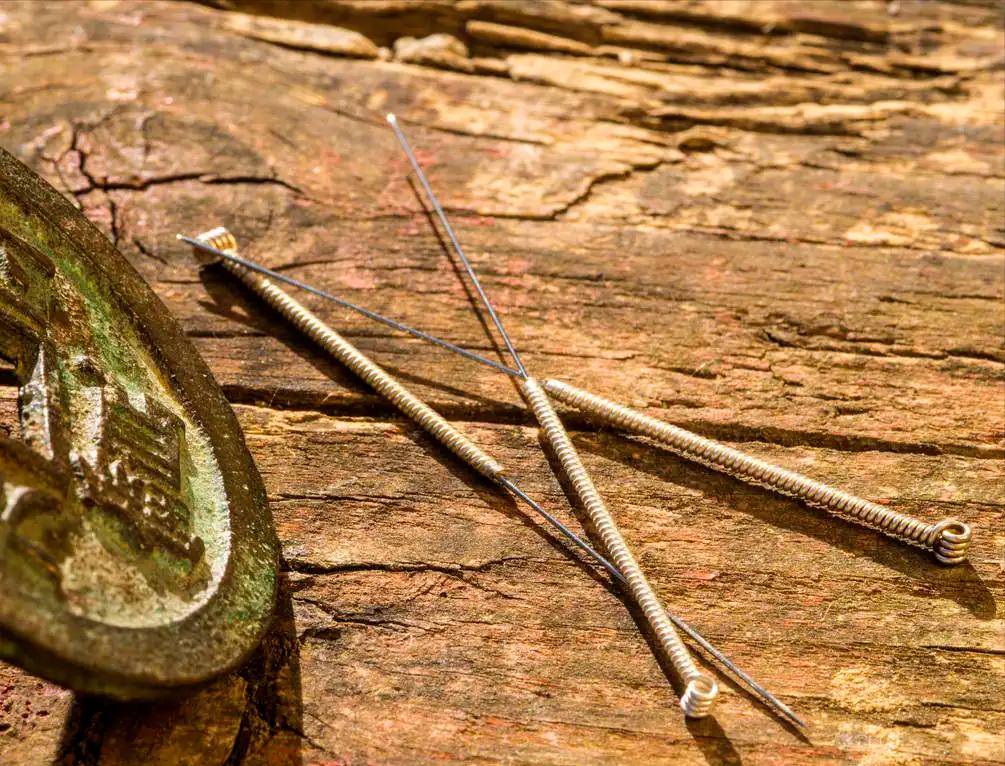 故事：药王唐慎微的离奇见闻，巴蛇护灵药，治酒虫，雀疮，传药典