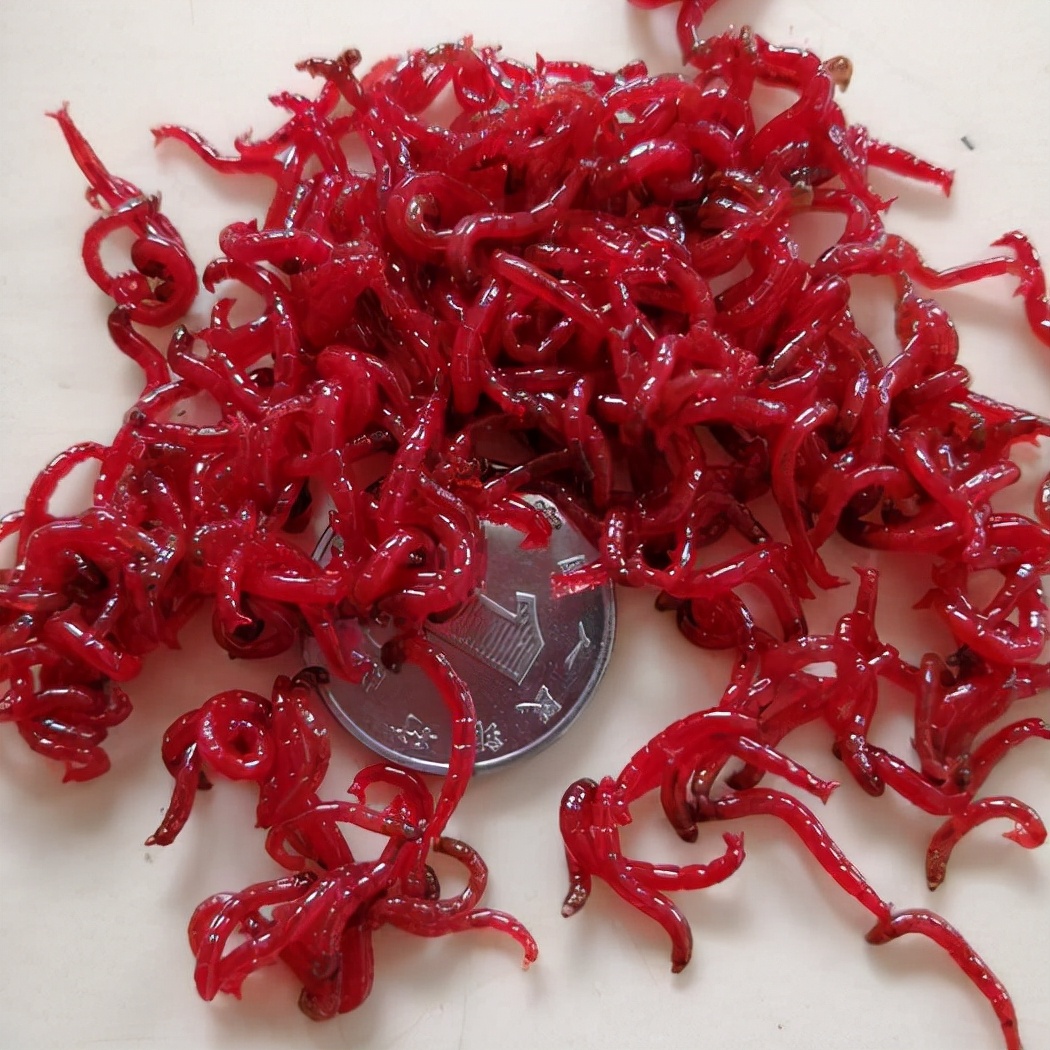 富贵险中求，1晚狂挣上万元，野河打捞红虫是怎样的“黑产”