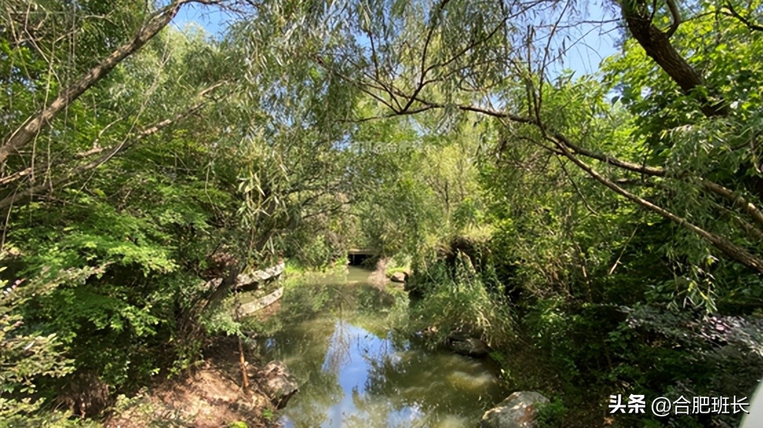 合肥保利西山林语洋房二手房,保利西山林语别墅值得买吗