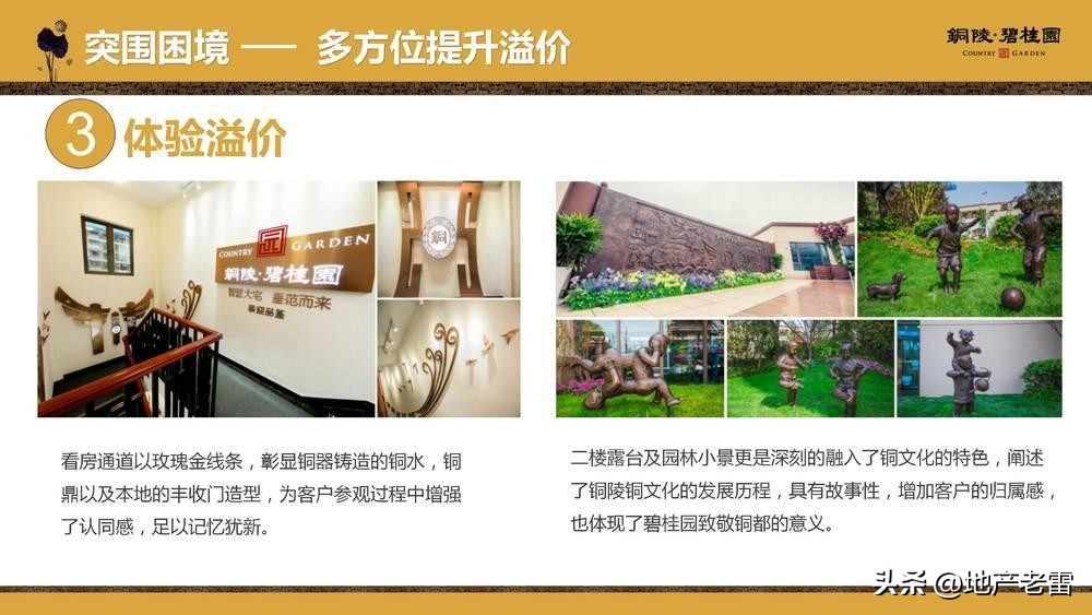 碧桂园房地产竞品分析,碧桂园房地产价格策略