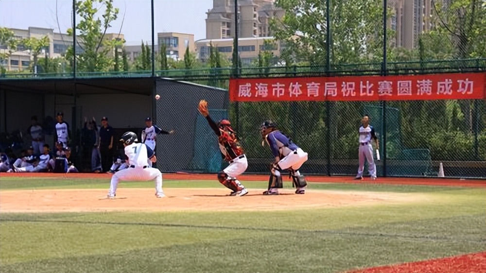 临港区：280余名中外球员挥棒逐梦赛场