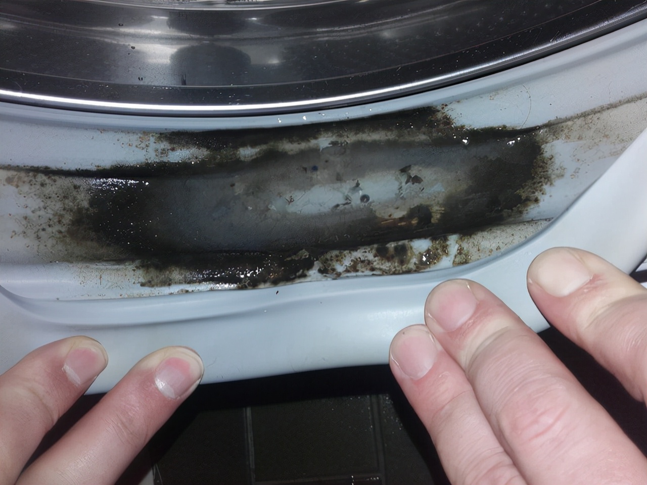 饭盒的密封圈有霉菌怎么洗干净,密封圈有霉菌怎么去除