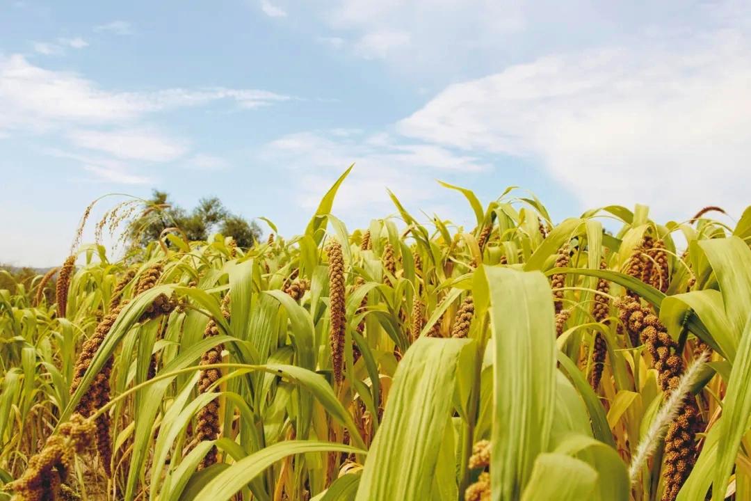 绚丽多彩金秋十月,绚丽多彩辽源