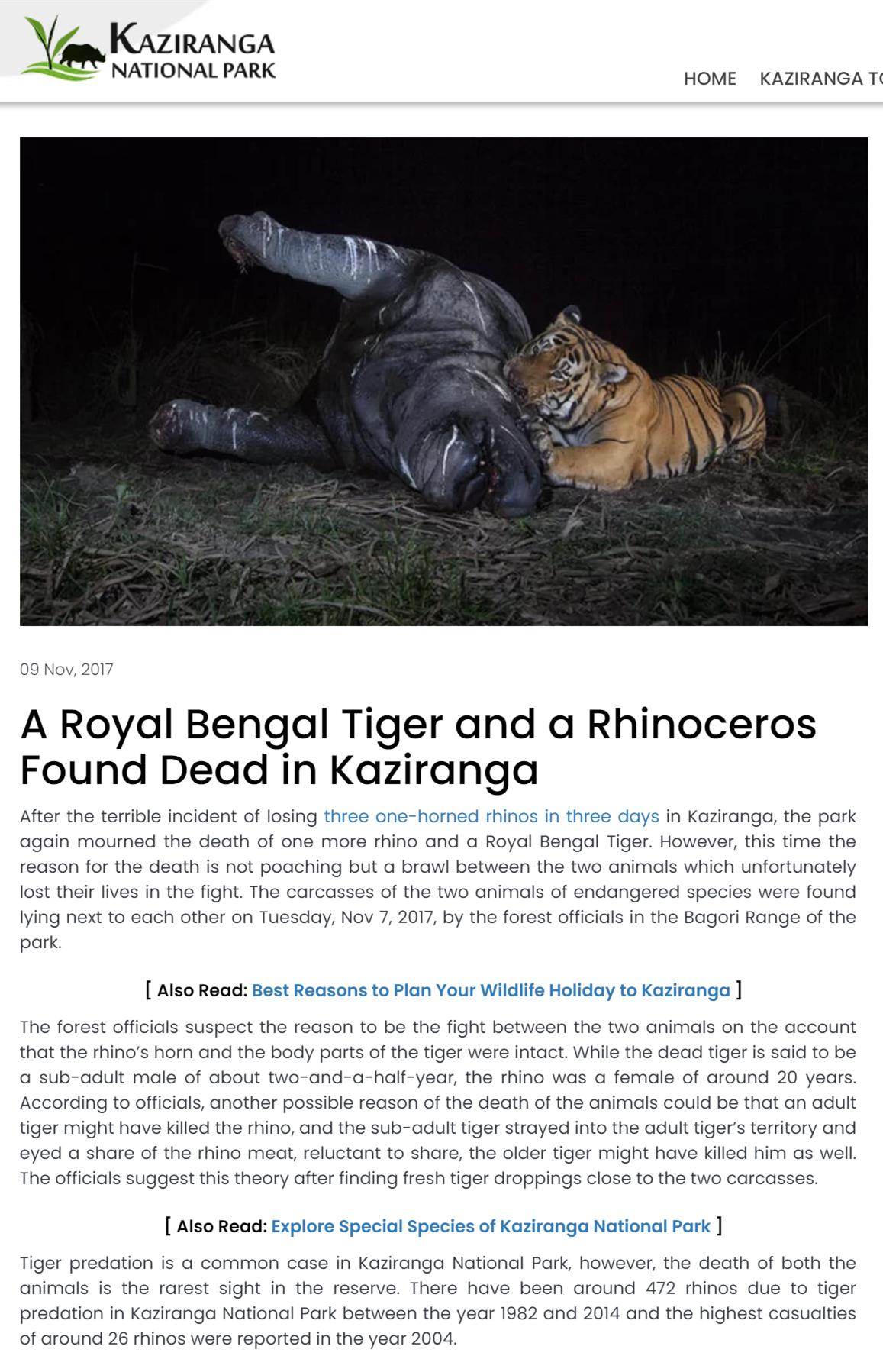 猫科战斗力分析,猫科打不过熊科