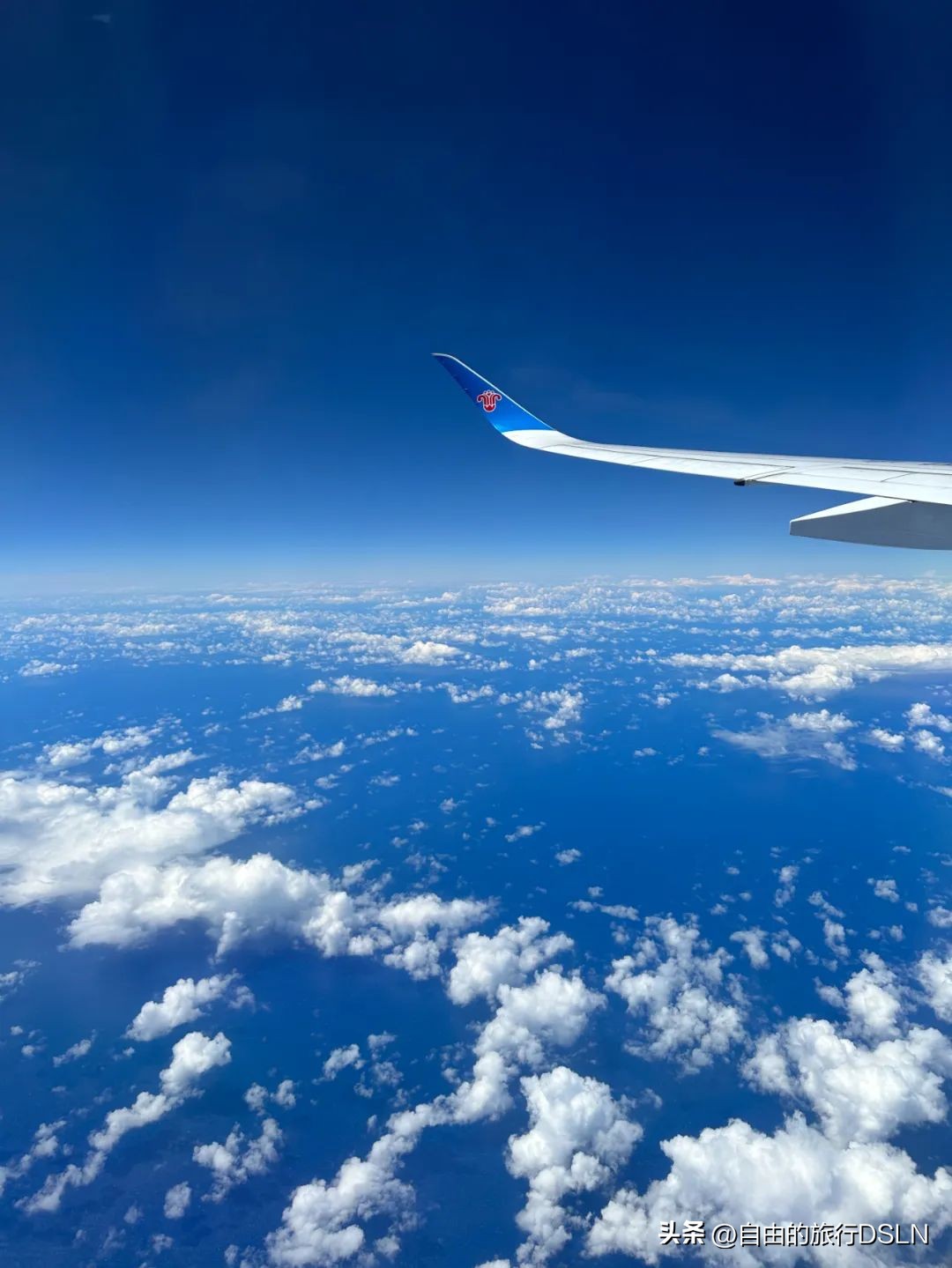 正确的决定和做法让我们顺利入境新西兰